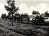 10cm F.H.14/19 (t).