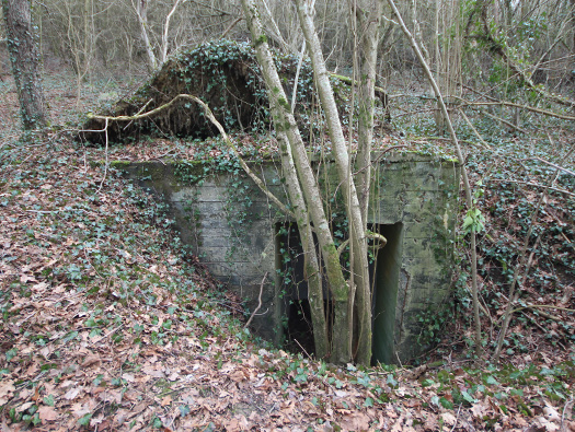 Führerhauptquartier ‘Wolfsschlucht 2’ Flakstellung ‘7’