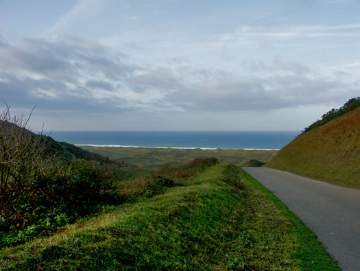Wn317 Biville nord
