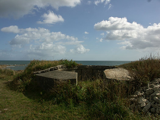 Wn119 Pointe de Landemer La Houe