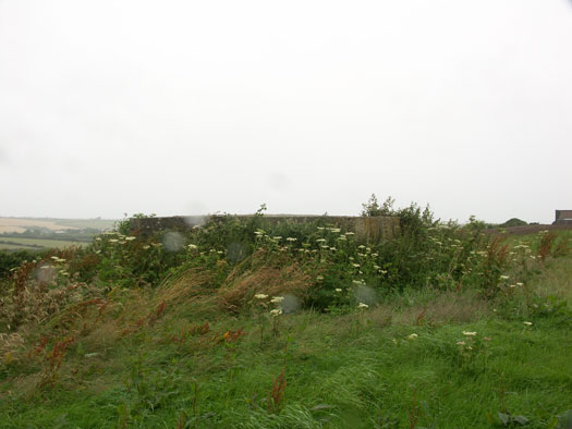 RNAS St Merryn, HMS Vulture