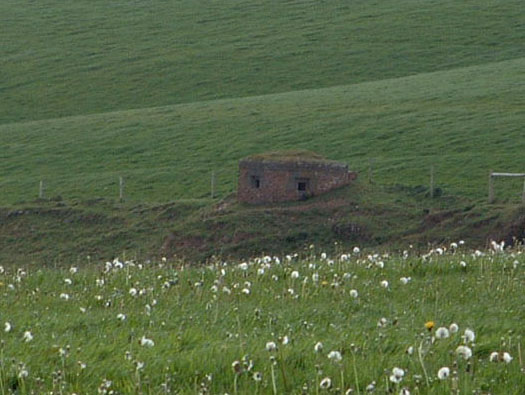 RAF Cleave