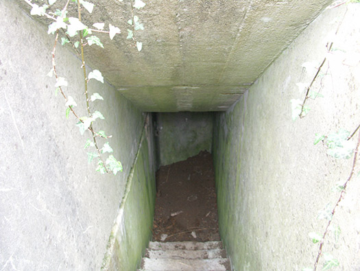 Wn241 Le Fort de Digosville (Fort des Roches)