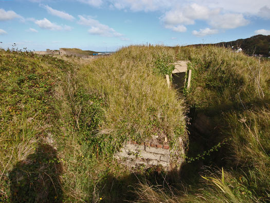Alderney, M4 Wn 'Dohlenfest'