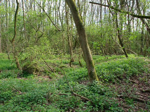 RAF Turweston