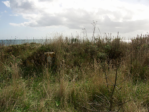 Wn119 Pointe de Landemer La Houe