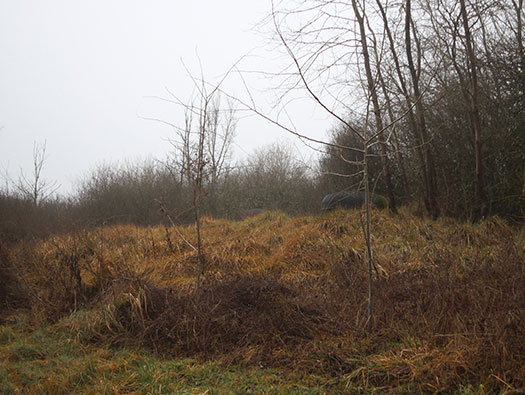 Hobling (A23), Ligne Maginot