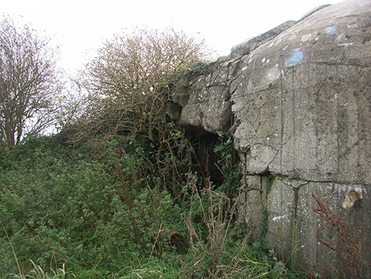Wn414 Sud de la Rue