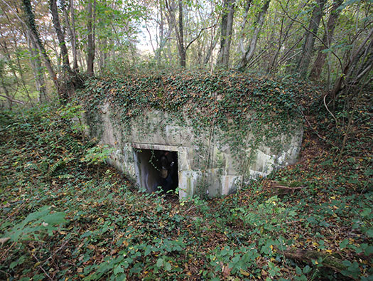 Führerhauptquartier‘Wolfsschlucht 2’ Flakstellung ‘16’