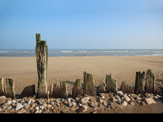 Wn35 Ver-sur-Mer, le Marais