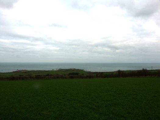 Wn346 Les Asselins la Gouinerie, Omonville la Rogue