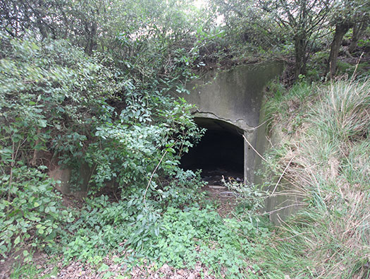 StP Ruine, Mont de Neufchâtel.