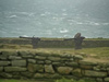 Re137, Pointe St Mathieu, Brittany.