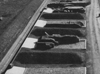 4 x 50ton bomb stores.