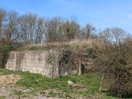 StP179 Stöllberg, Noir Bois