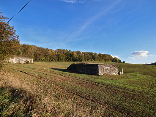 Führerhauptquartier ‘Wolfsschlucht 2’ 'Flakstellung C', Margival, Soissons, France.