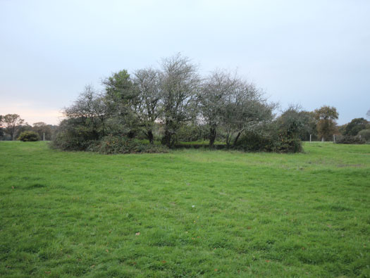 Wn Nz364 Le Petit Marsac