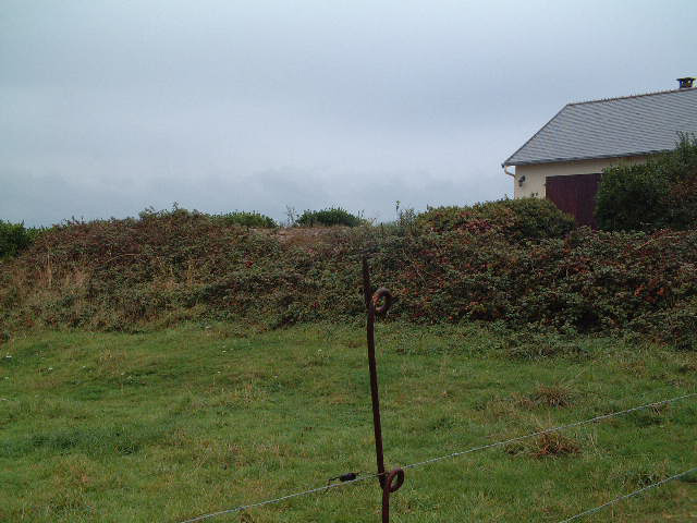 Wn349 Auderville la Roche, Luftwaffe station "Ammer".
