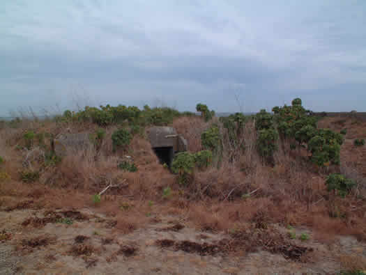 Wn119 Pointe de Landemer La Houe