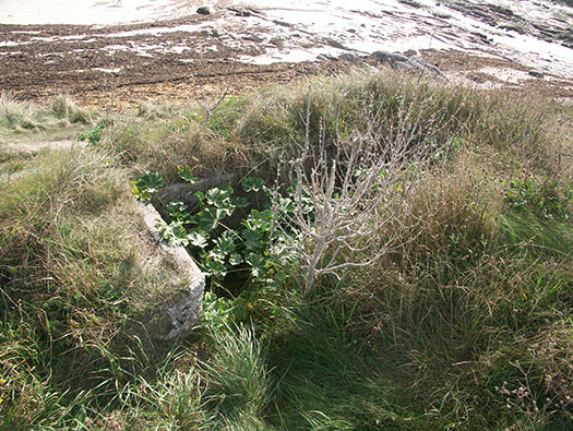Wn115 Pointe de Saire