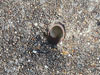 Hole in the centre for an electrical or telephone cable to the gun.