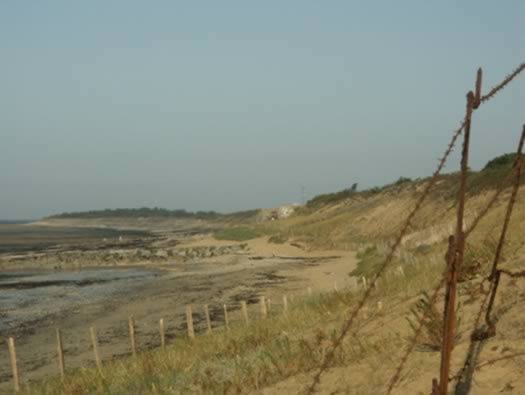 Ro425 ´Kora´, Ro429 'Korola', Ro424 'Käthe', Ile de Ré