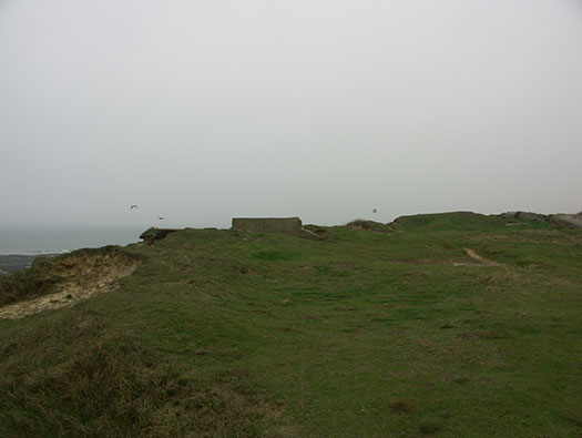 StP207 Fischreiher