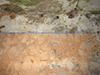 Painted wall.