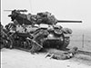 M10 Wolverine in Normandy.