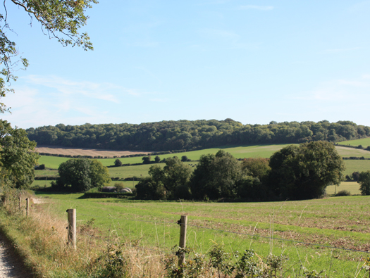 N18 Searchlight Site