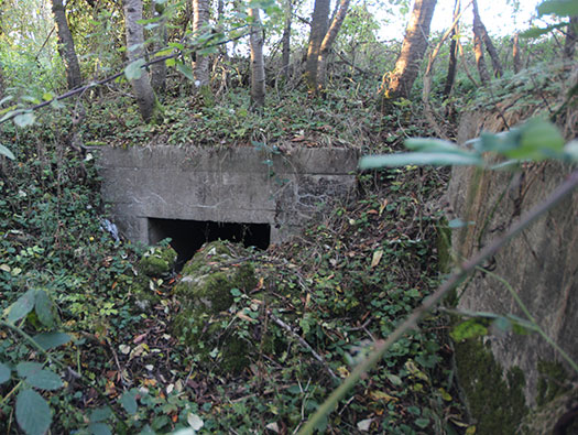 Führerhauptquartier ´Wolfsschlucht 2´ Flakstellung ´B´