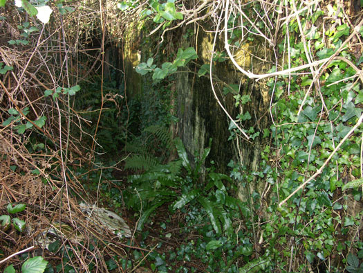 Wn137 Quineville le poteau 'Ginsterhöhe.'