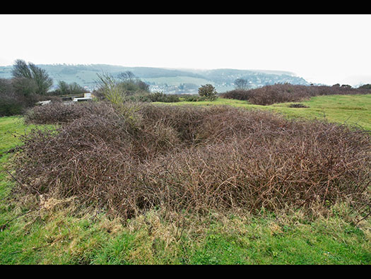 Die010 Mont Robin