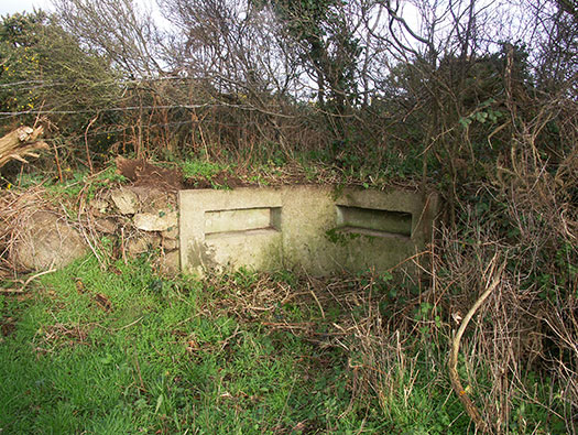 Wn165 Cosqueville étang du Pelat