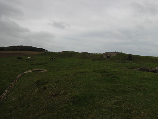 StP Ruine, Mont de Neufchâtel.