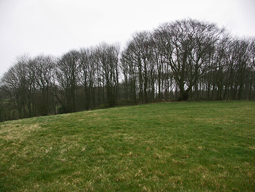 RAF Babdown Farm RLG