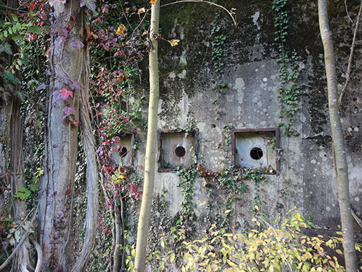 Führerhauptquartier‘Wolfsschlucht 2’ Flakstellung ‘16’