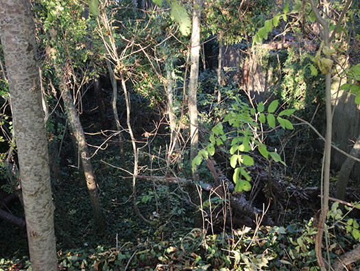 Führerhauptquartier ´Wolfsschlucht 2´ Flakstellung ´B´