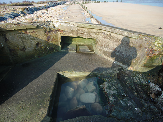 Wn35 Ver-sur-Mer, le Marais