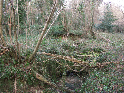 Spetisbury Auxiliary Hide Patrol Base