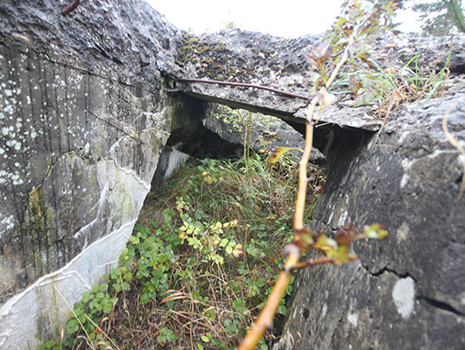 StP Orakel, St Gabriel est