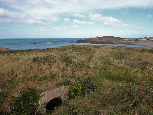 Alderney, M4 Wn 'Dohlenfest'