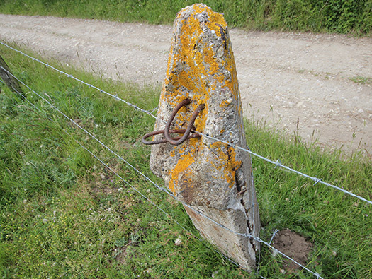 Wn 'Rosamunde'