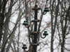 Insulators still in place at A24.
