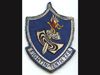 10th Fighter Squadron USAAF.