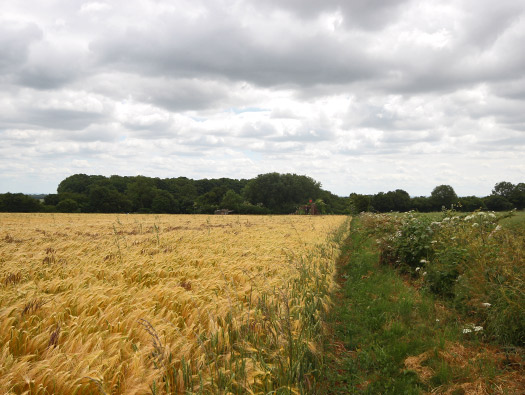RAF Babdown Farm RLG