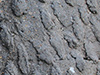 Different types of concrete camouflage.