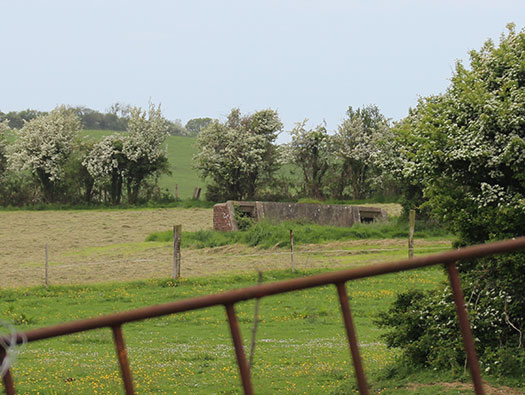StP180 Schwarztal, Noirbernes