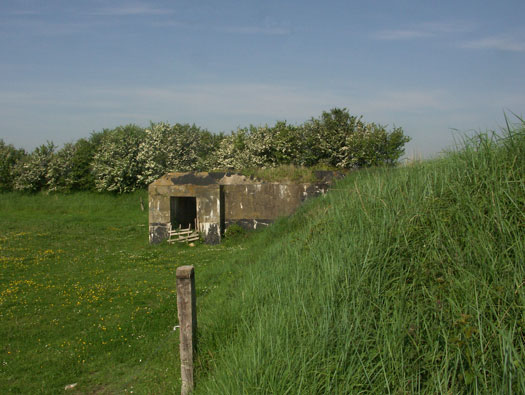 Wn99 Brévands le Châlet