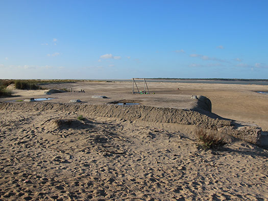Gi03 'Holland' Point du Galon d'Or